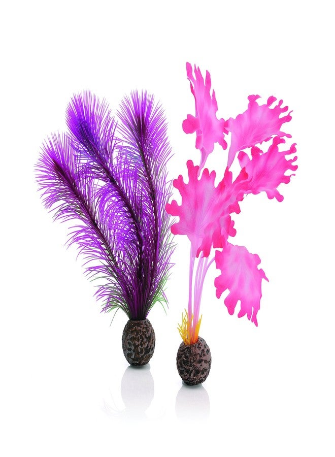 biOrb مجموعة طحالب عشب البحر الصغيرة الوردية من BiOrb 46081.0 لأحواض السمك - Image 1